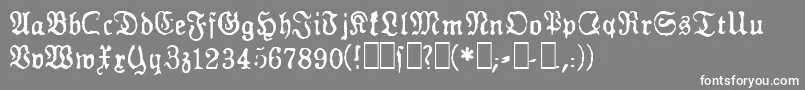 GfGesetz Font – White Fonts on Gray Background