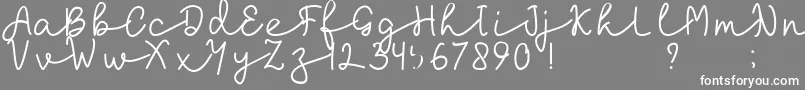 フォントlaksana – 灰色の背景に白い文字