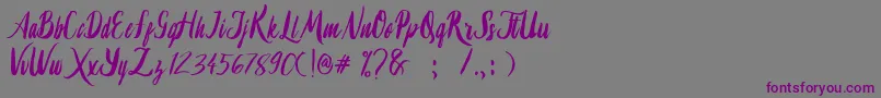 Lambaretta-fontti – violetit fontit harmaalla taustalla