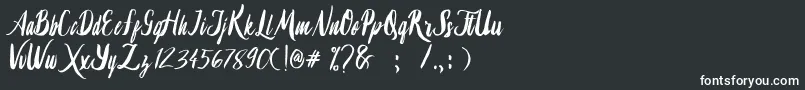 Lambaretta-Schriftart – Weiße Schriften auf schwarzem Hintergrund