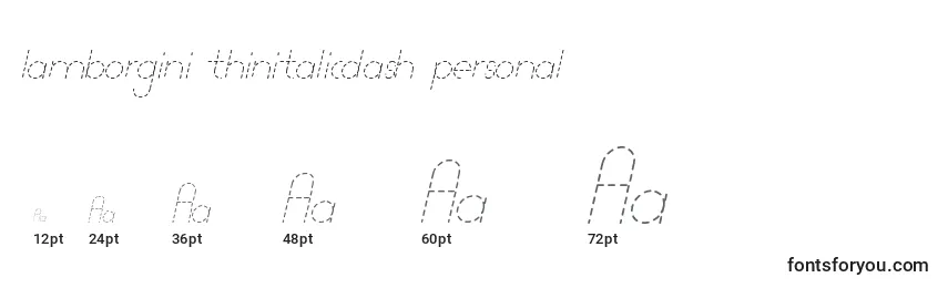 Lamborgini thinitalicdash personal Font Sizes