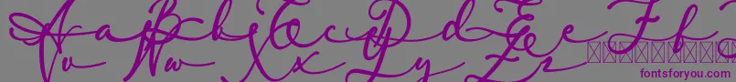 Шрифт lambresia – фиолетовые шрифты на сером фоне