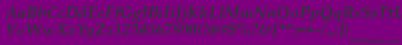 PalatinoLinotypeРџРѕР»СѓР¶РёСЂРЅС‹Р№РљСѓСЂСЃРёРІ Font – Black Fonts on Purple Background