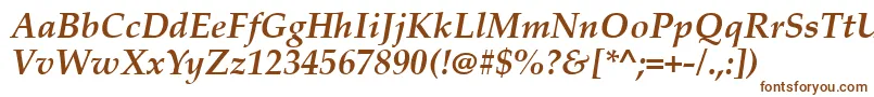 PalatinoLinotypeРџРѕР»СѓР¶РёСЂРЅС‹Р№РљСѓСЂСЃРёРІ-Schriftart – Braune Schriften