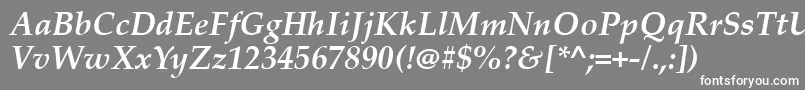 PalatinoLinotypeРџРѕР»СѓР¶РёСЂРЅС‹Р№РљСѓСЂСЃРёРІ Font – White Fonts on Gray Background