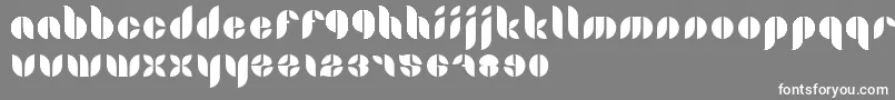 Lamia Font – White Fonts on Gray Background