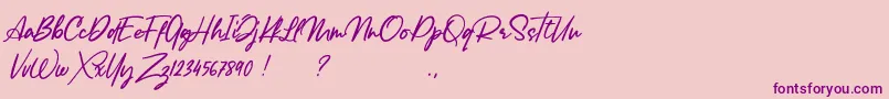 Lancaste Script Alt Demo Font – Purple Fonts on Pink Background