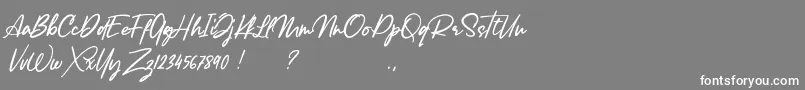 Lancaste Script Alt Demo Font – White Fonts on Gray Background