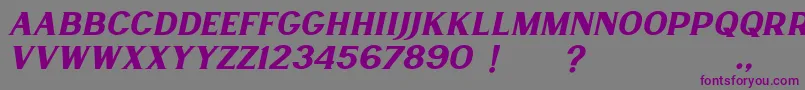 Czcionka Lancaste Serif Slant Demo – fioletowe czcionki na szarym tle