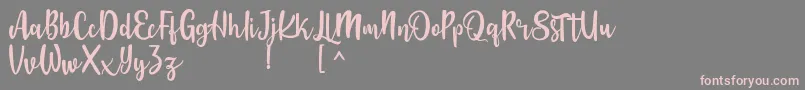 Langrish Script Font – Pink Fonts on Gray Background