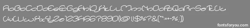 lanitta Bold-Schriftart – Weiße Schriften auf grauem Hintergrund
