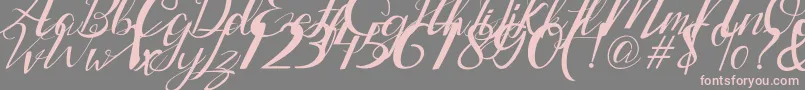 Lantting Font – Pink Fonts on Gray Background