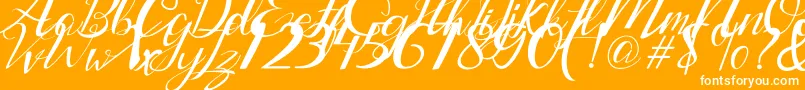 Lantting Font – White Fonts on Orange Background