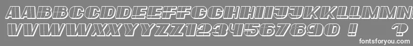Police Large Italic – polices blanches sur fond gris