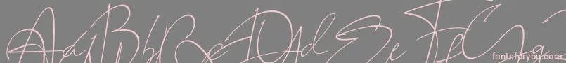 fuente LAROSH Sithal Signature – Fuentes Rosadas Sobre Fondo Gris