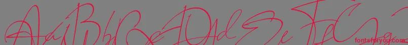 LAROSH Sithal Signature-Schriftart – Rote Schriften auf grauem Hintergrund