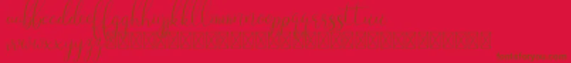 fuente Laryo – Fuentes Marrones Sobre Fondo Rojo