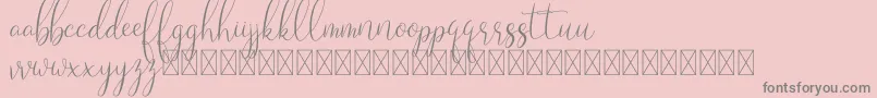 Laryo Font – Gray Fonts on Pink Background