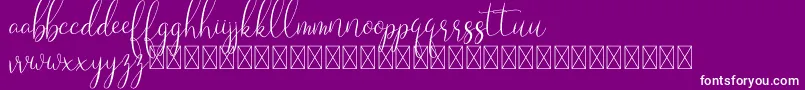 Laryo Font – White Fonts on Purple Background