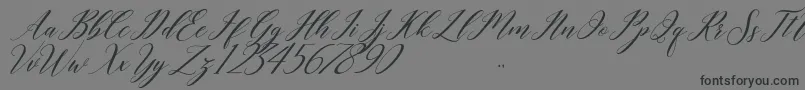 last night-Schriftart – Schwarze Schriften auf grauem Hintergrund