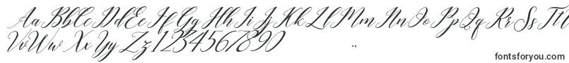 Czcionka last night – czcionki kaligraficzne