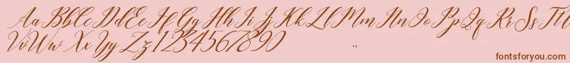 last night Font – Brown Fonts on Pink Background