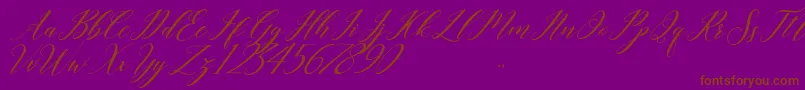last night-Schriftart – Braune Schriften auf violettem Hintergrund