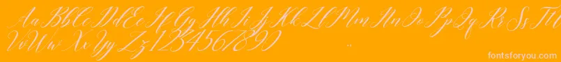 last night-Schriftart – Rosa Schriften auf orangefarbenem Hintergrund