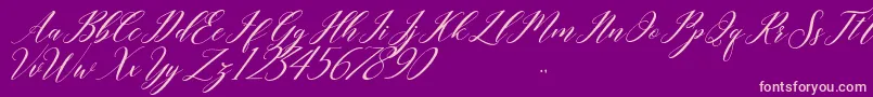 last night Font – Pink Fonts on Purple Background