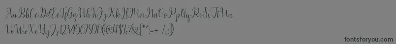 フォントLatasha Script – 黒い文字の灰色の背景