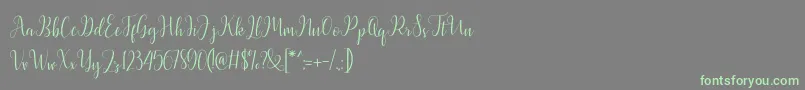 Latasha Script-Schriftart – Grüne Schriften auf grauem Hintergrund