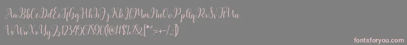 fuente Latasha Script – Fuentes Rosadas Sobre Fondo Gris