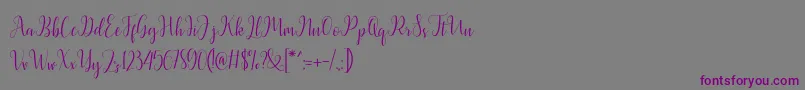 Latasha Script-Schriftart – Violette Schriften auf grauem Hintergrund