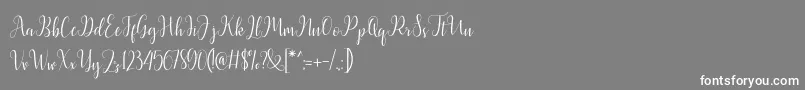 Latasha Script Font – White Fonts on Gray Background