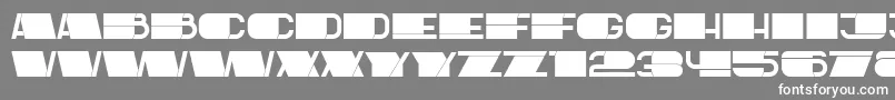 Latest Font – White Fonts on Gray Background
