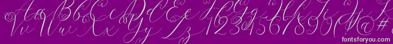 Latia Font – Green Fonts on Purple Background