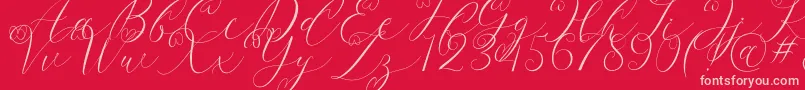 Latia Font – Pink Fonts on Red Background