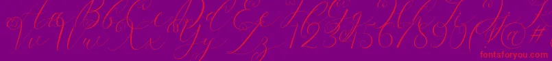 Latia-Schriftart – Rote Schriften auf violettem Hintergrund