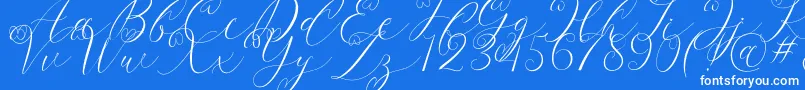 Latia-Schriftart – Weiße Schriften auf blauem Hintergrund