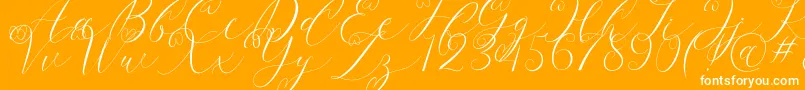 Latia-Schriftart – Weiße Schriften auf orangefarbenem Hintergrund