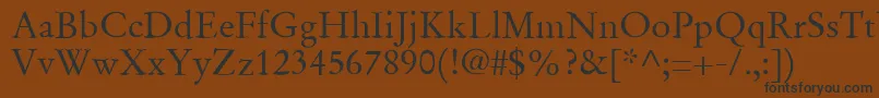 SgaramondRegular Font – Black Fonts on Brown Background