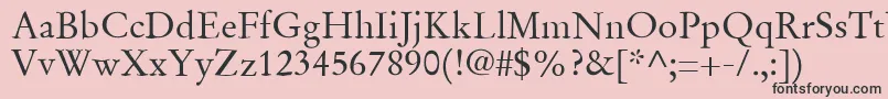 SgaramondRegular Font – Black Fonts on Pink Background