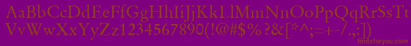 SgaramondRegular Font – Brown Fonts on Purple Background