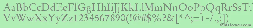 フォントSgaramondRegular – 緑の背景に灰色の文字