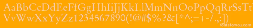 SgaramondRegular Font – Pink Fonts on Orange Background