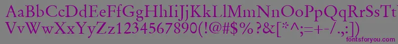 SgaramondRegular Font – Purple Fonts on Gray Background