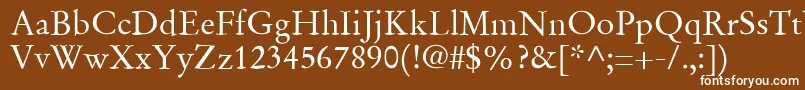 SgaramondRegular Font – White Fonts on Brown Background