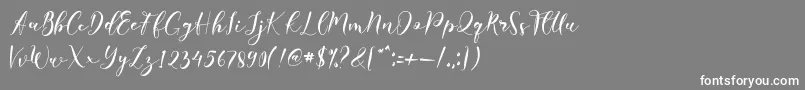 Laudiea-Schriftart – Weiße Schriften auf grauem Hintergrund