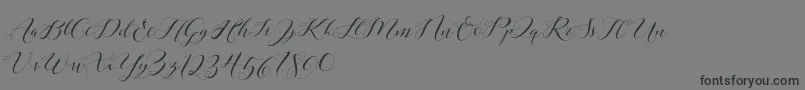 Laurence Script DEMO Font – Black Fonts on Gray Background