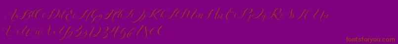 Laurence Script DEMO Font – Brown Fonts on Purple Background